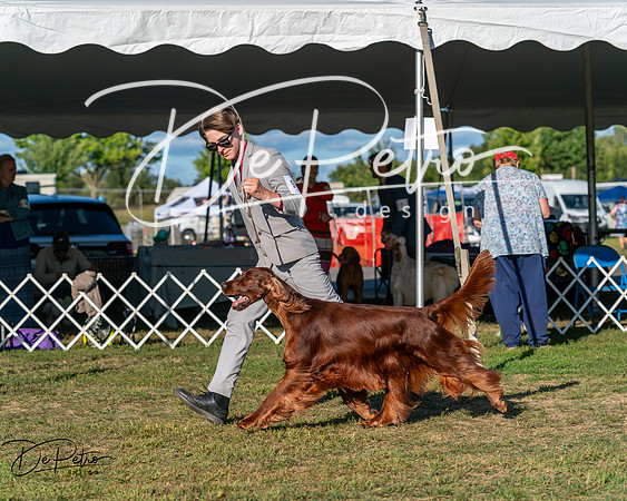20250830-DSC06563