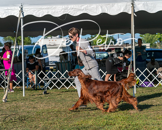 20250830-DSC06570