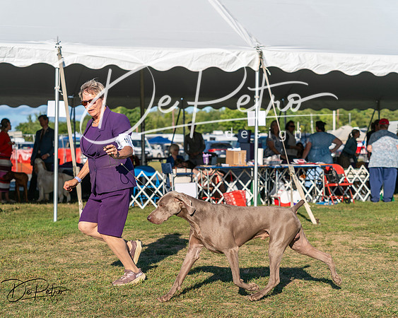 20250830-DSC06585