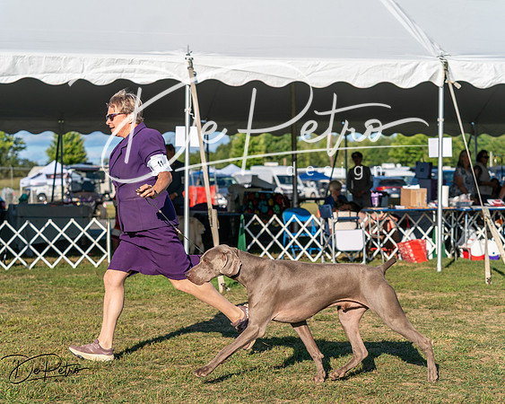 20250830-DSC06587