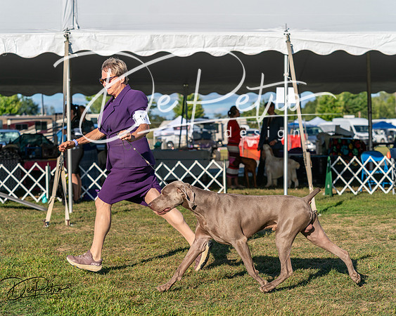 20250830-DSC06590