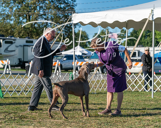 20250830-DSC06595
