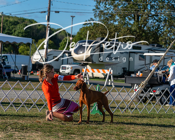 20250830-DSC06633