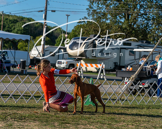 20250830-DSC06634