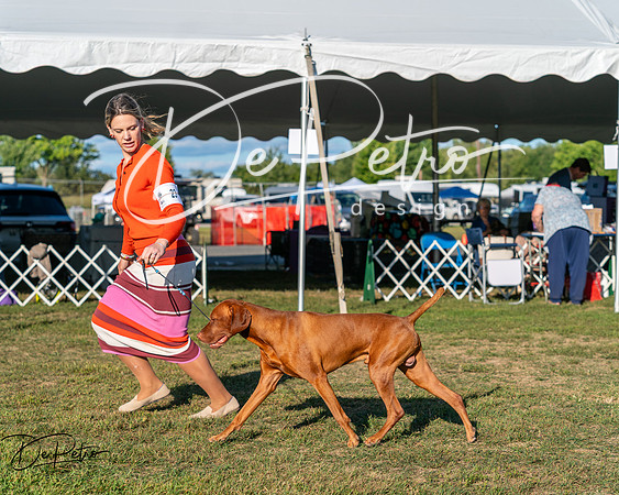 20250830-DSC06642