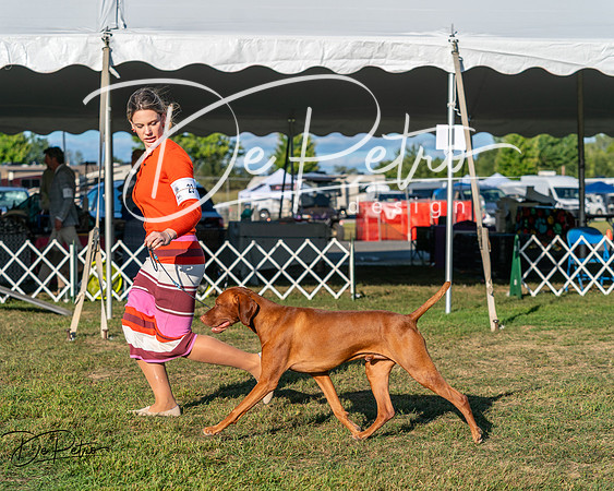 20250830-DSC06646