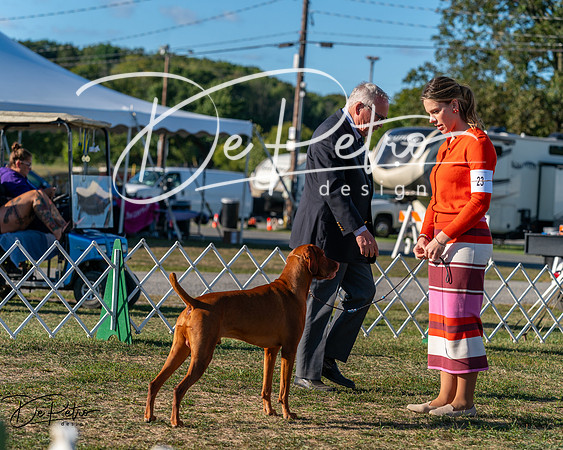20250830-DSC06651