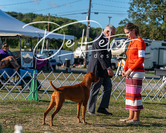 20250830-DSC06652
