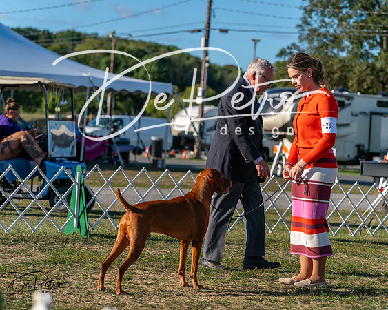 20250830-DSC06653