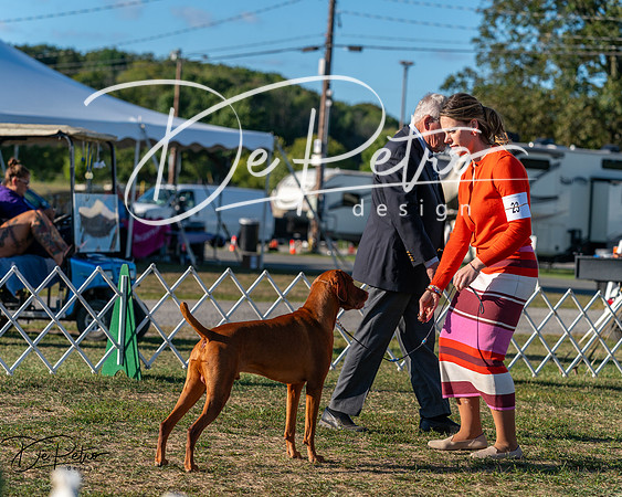 20250830-DSC06656