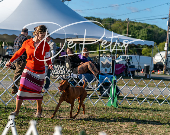 20250830-DSC06657