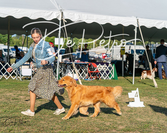 20250830-DSC06729