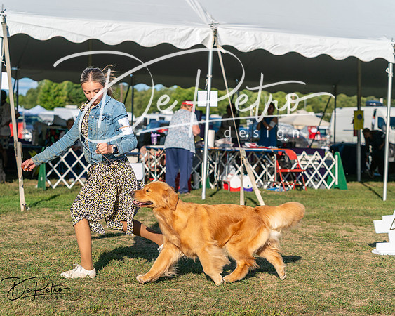 20250830-DSC06732