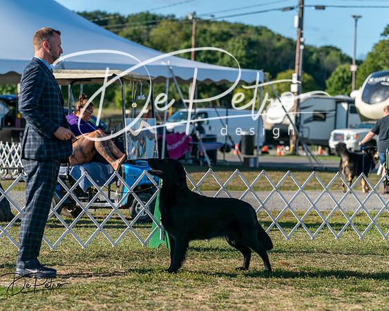20250830-DSC06772