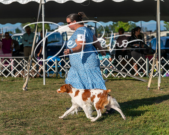 20250830-DSC06797