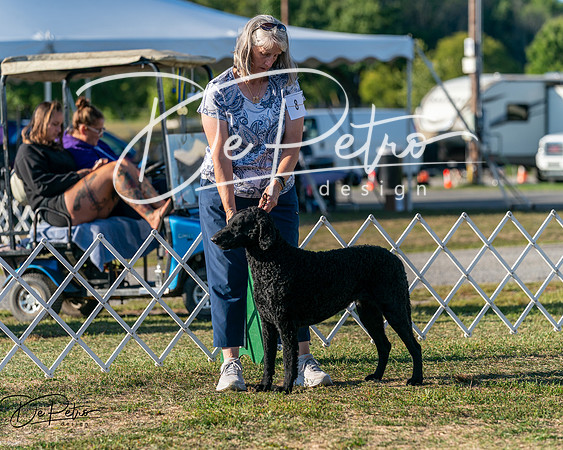 20250830-DSC06802