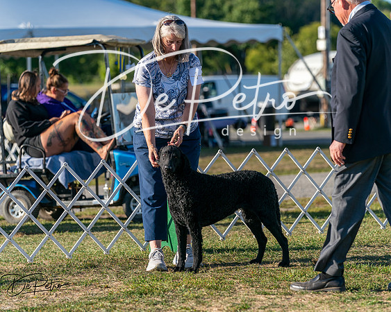 20250830-DSC06804