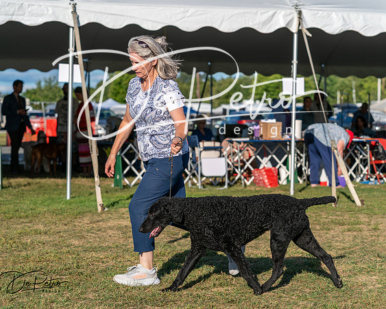 20250830-DSC06806