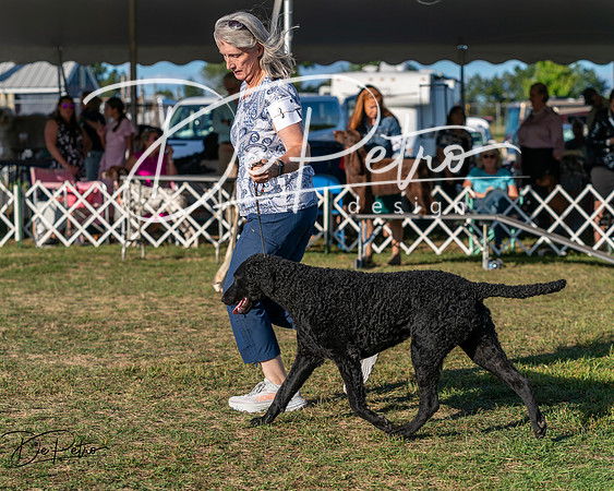 20250830-DSC06815