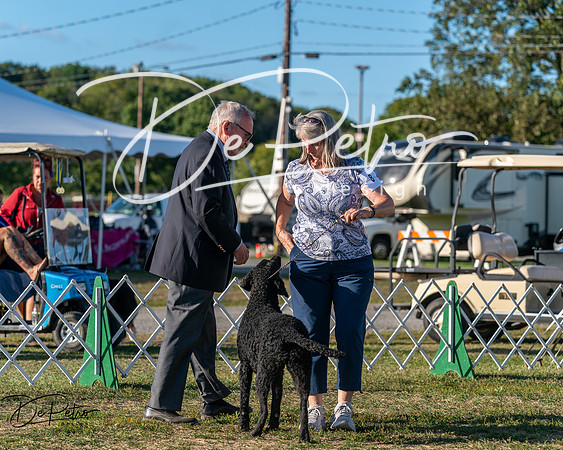 20250830-DSC06819