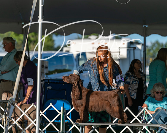 20250830-DSC06826