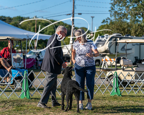 20250830-DSC06820