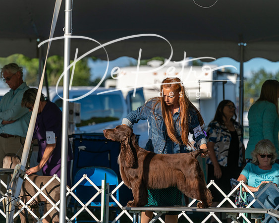 20250830-DSC06827