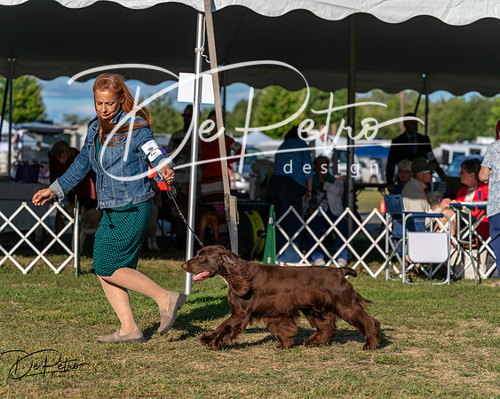20250830-DSC06831