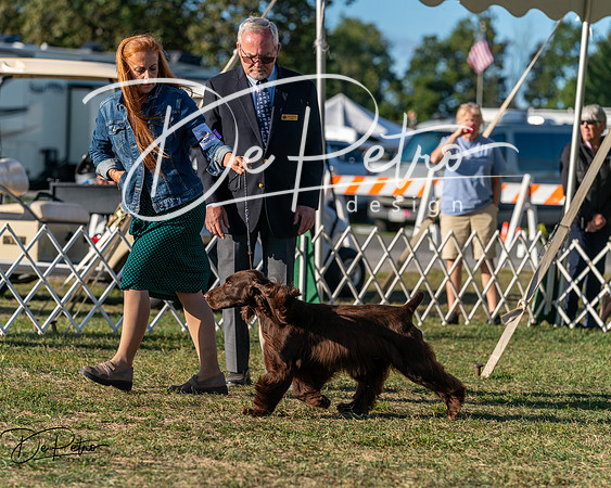 20250830-DSC06845