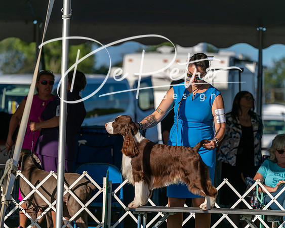 20250830-DSC06853