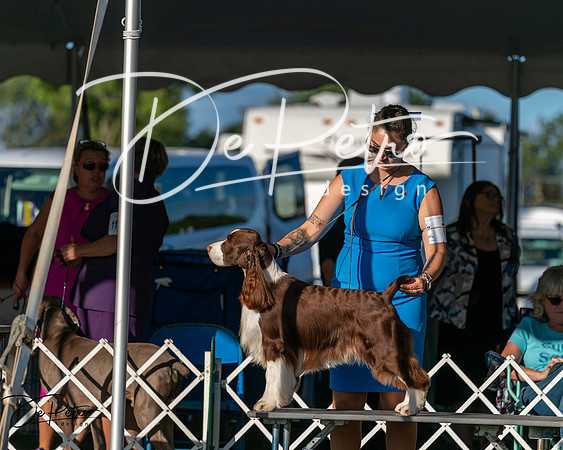 20250830-DSC06854