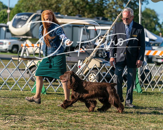 20250830-DSC06849