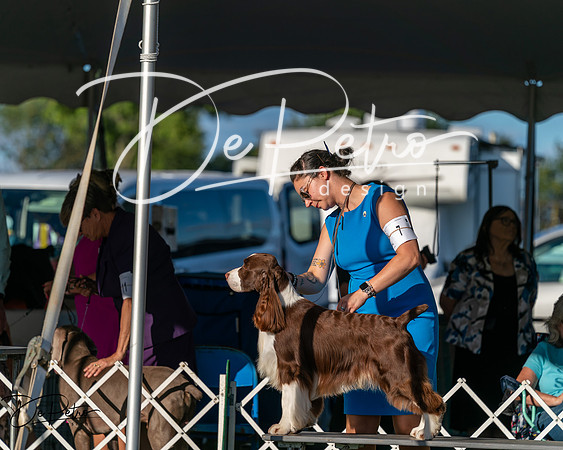 20250830-DSC06857