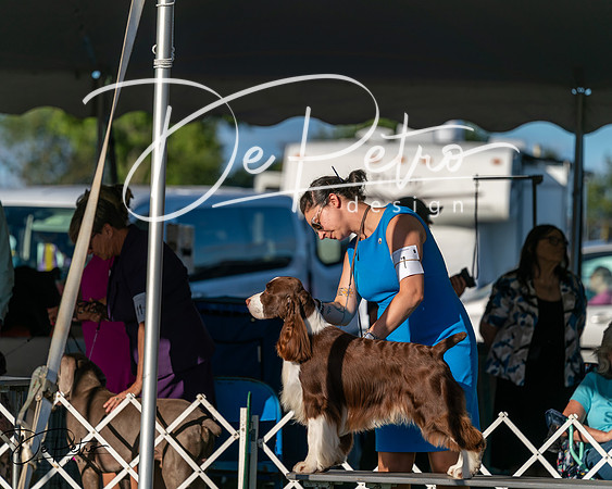 20250830-DSC06858