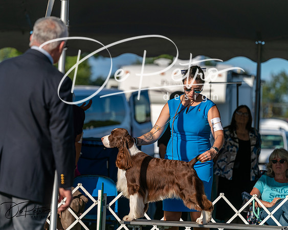 20250830-DSC06862