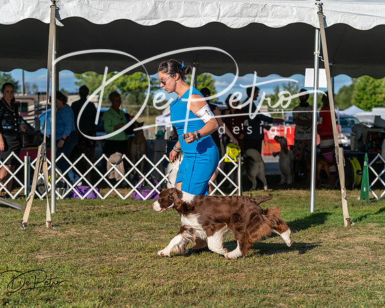 20250830-DSC06871