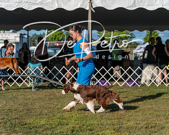 20250830-DSC06875