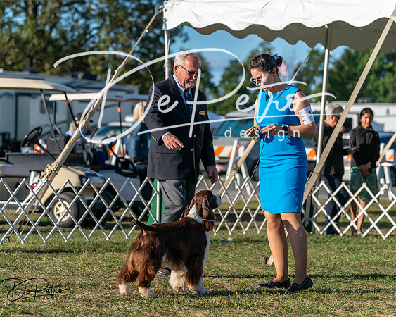 20250830-DSC06881