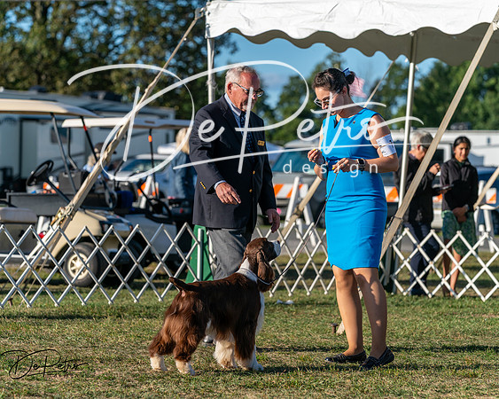 20250830-DSC06882