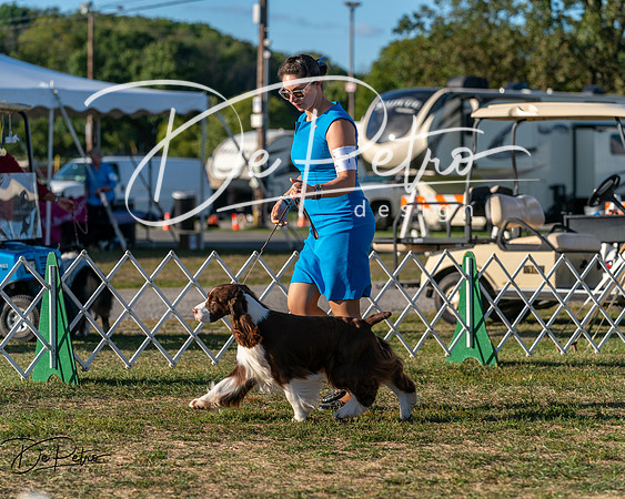 20250830-DSC06885