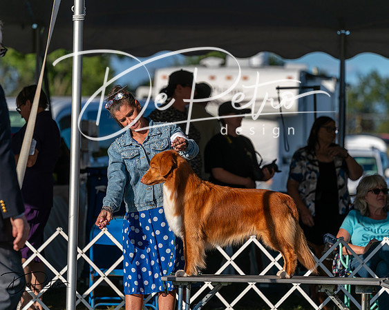 20250830-DSC06890