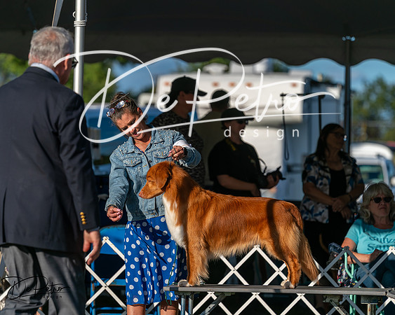 20250830-DSC06893