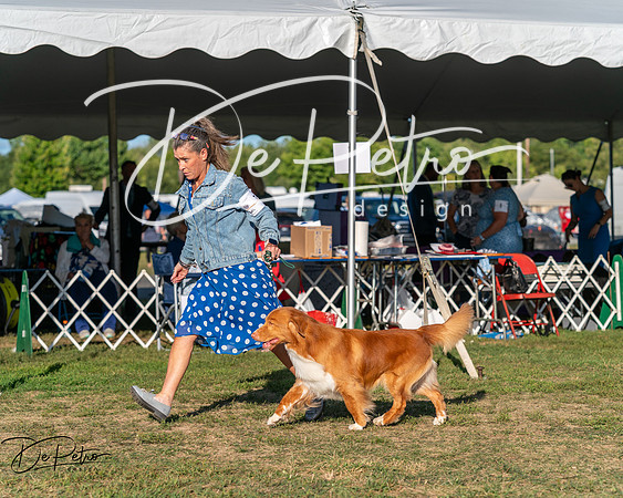 20250830-DSC06898