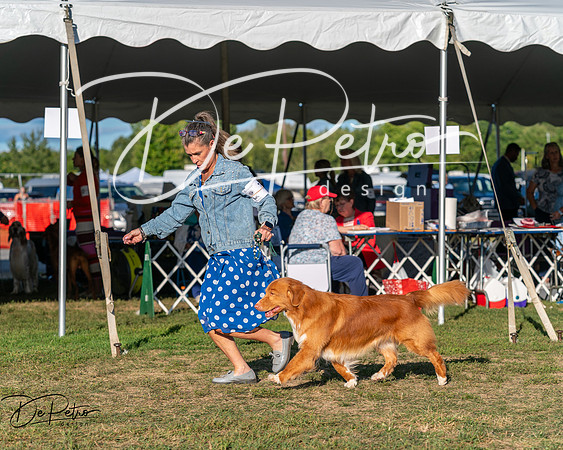 20250830-DSC06900