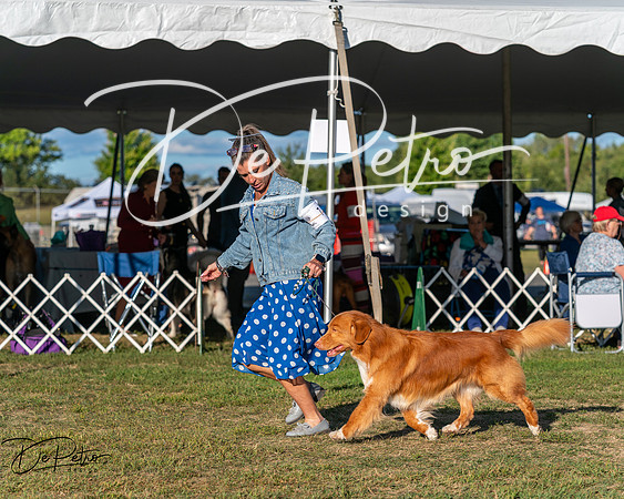 20250830-DSC06904