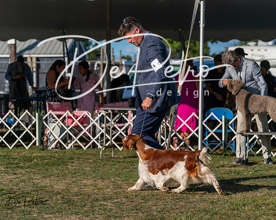 20250830-DSC06940