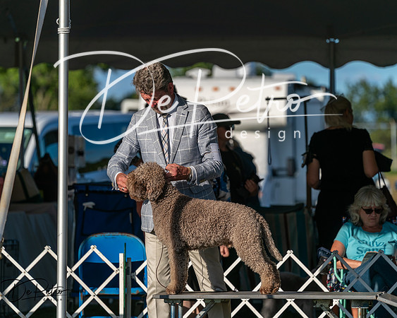 20250830-DSC06954