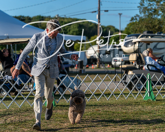 20250830-DSC06978