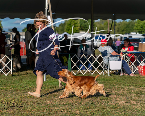 20250830-DSC06990