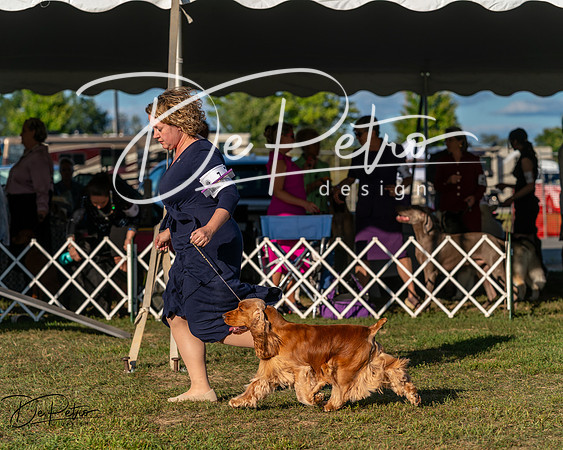 20250830-DSC06994